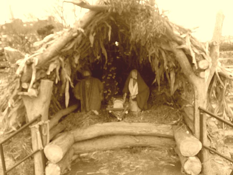 Jaslice na Dravi i plutajuće božićno drvce (16.12.-06.01.)